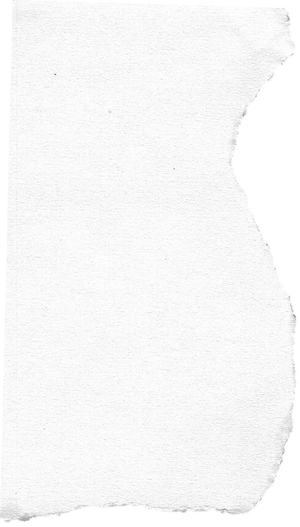 White Paper